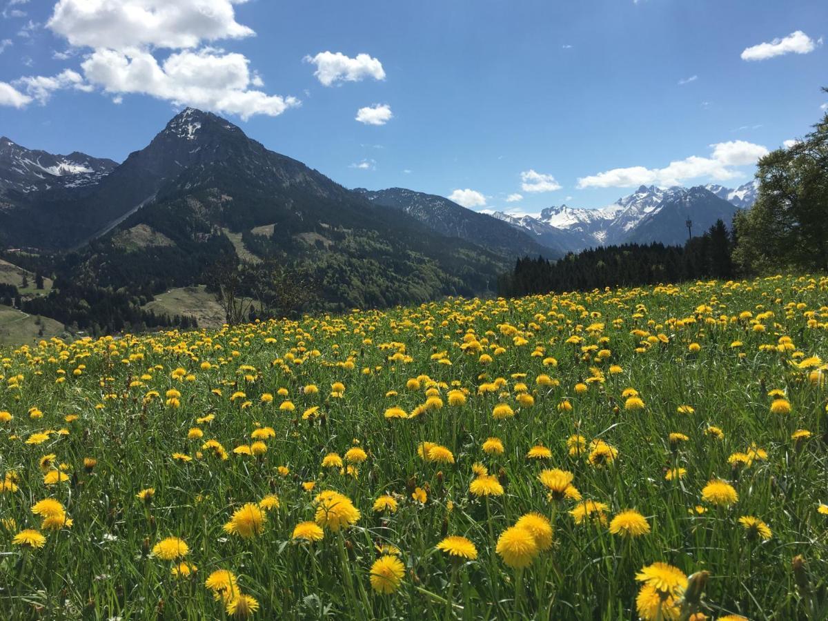 Ifenblick Mit Netflix Und Sommer-bergbahnticket Apartment *
